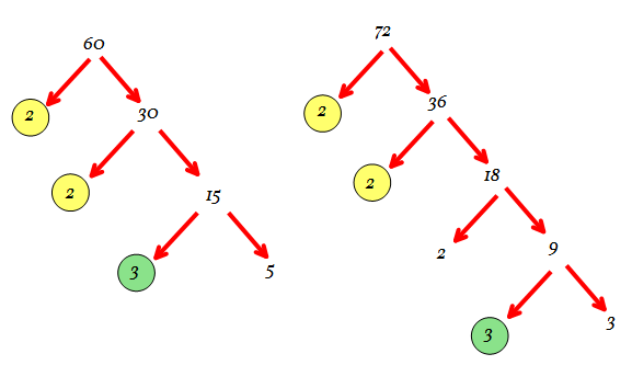 Prime Factorization Of 72 By Division Method / Prime Factorization Math